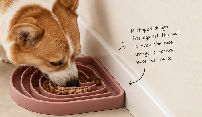 Illustrative lifestyle scene of a dog eating beside a wall from a D-shaped feeder